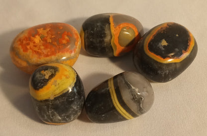 Bumblebee Jasper Tumbles