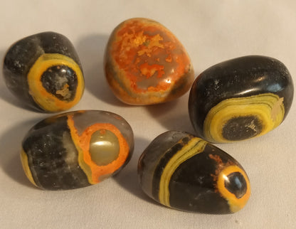 Bumblebee Jasper Tumbles