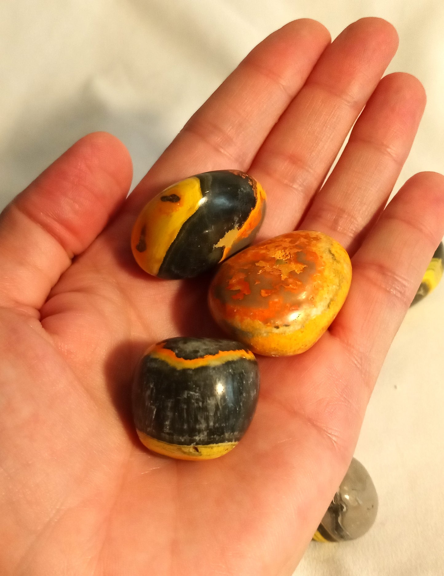 Bumblebee Jasper Tumbles