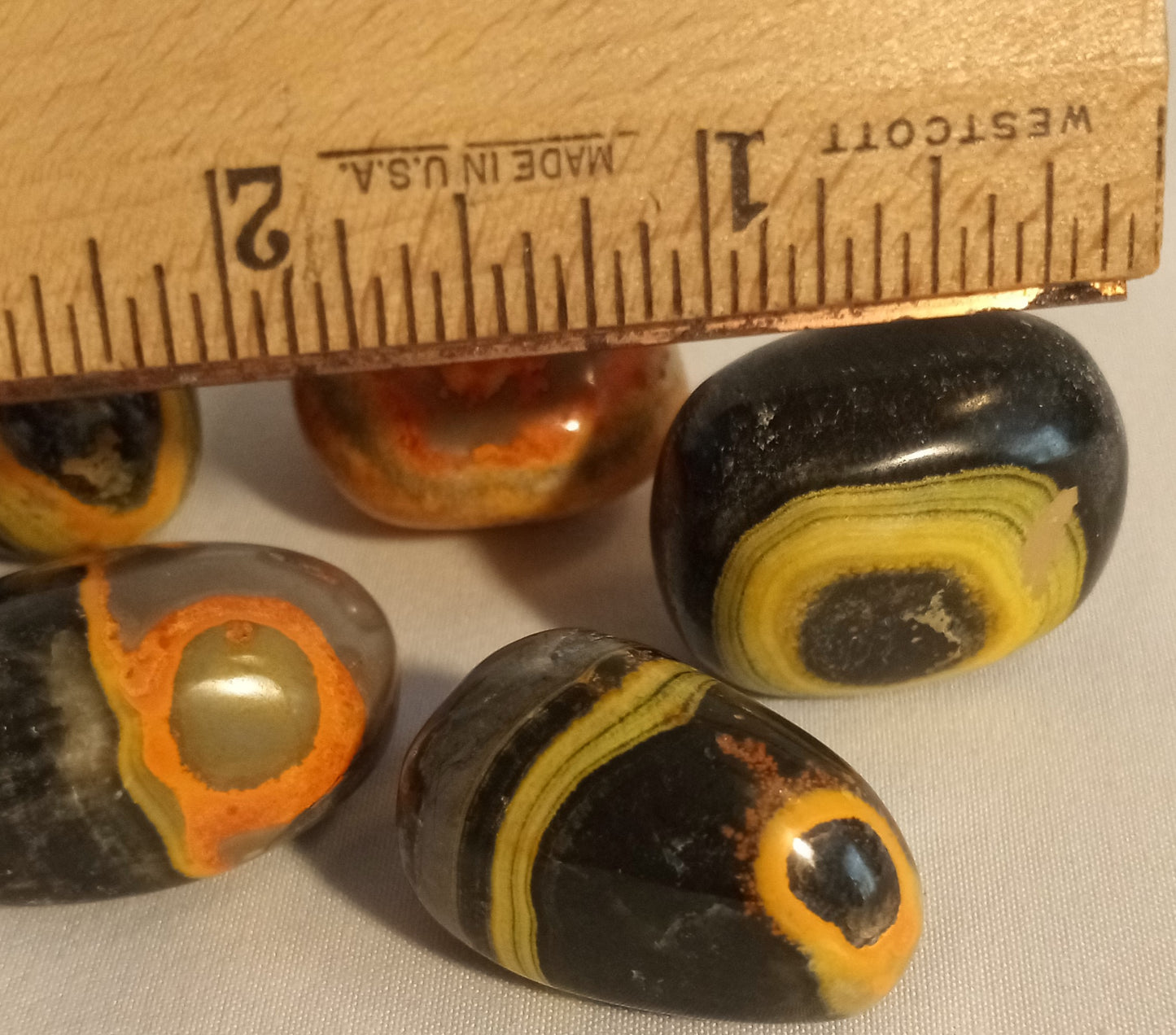 Bumblebee Jasper Tumbles